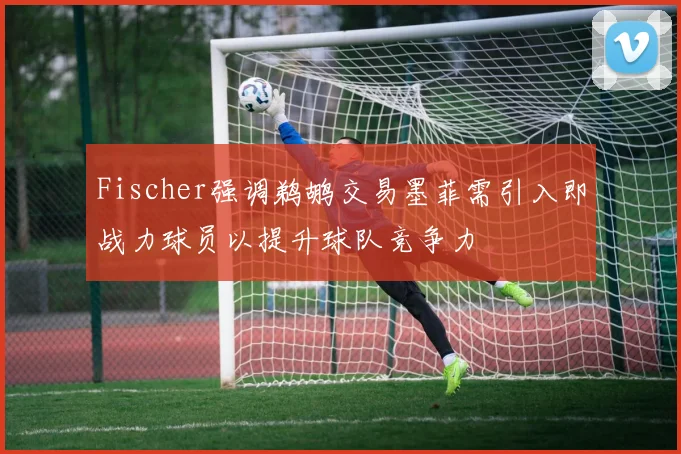 Fischer强调鹈鹕交易墨菲需引入即战力球员以提升球队竞争力
