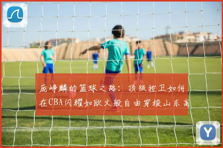 庞峥麟的篮球之路：顶级控卫如何在CBA闪耀如欧文般自由穿梭山东高速